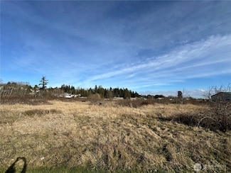 850 Ludwick Ave, Blaine, WA 98230