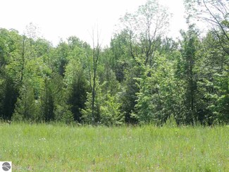 Lot J S Omena Rise, Omena, MI 49674