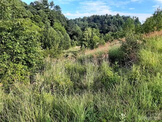 TBD Kelly Hunter Rd, Marshall, NC 28753