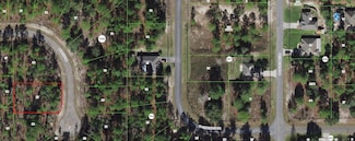 1020 W Riley Dr, Citrus Springs, FL 34434
