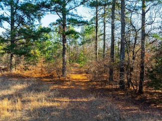 TBD Castle Dr, Batesville, AR 72501