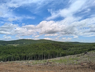 0 Parkway Church Rd Unit 922520, Meadows of Dan, VA 24120