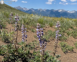 TBD Lot 33 County Road 251, Westcliffe, CO 81252