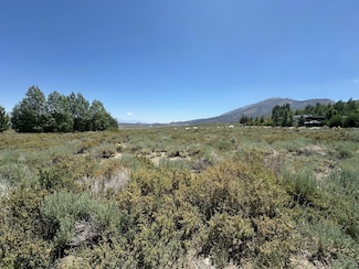 117 Gregory Ln Unit 1, Crowley Lake, CA 93546