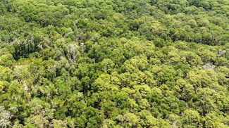 0 SE 134th Ct, Weirsdale, FL 32195