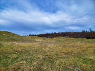 0 TBD Cameron Lake Rd, Okanogan, WA 98840