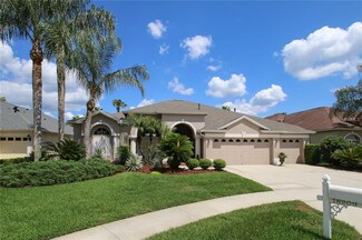 18209 Wimbledon Green Place, Tampa, FL 33647