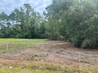 122 Glenside St, Georgetown, FL 32139