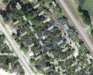 1051 County Road 29, Lake Placid, FL 33852