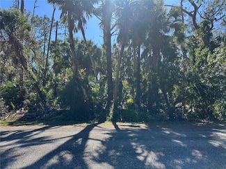 17381 Stanley Ave, Port Charlotte, FL 33954