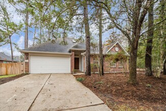 2 Orchid Grove Place, Conroe, TX 77385