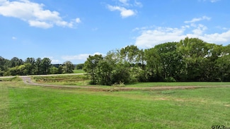 16622 Caeli Heights Ct, Winona, TX 75792