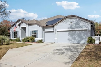 32 Birchtree St, Homosassa, FL 34446