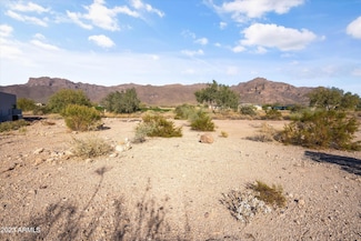 9431 E Canyon View Trail Unit 10CVE, Gold Canyon, AZ 85118