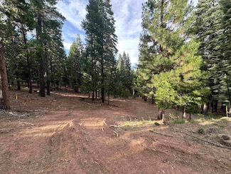 406 Morningside Ct, Lake Almanor West, CA 96020