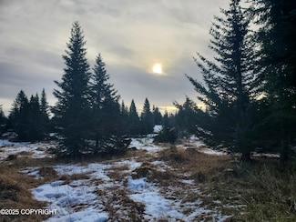 67609 Shavila Rd, Ninilchik, AK 99639