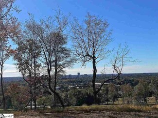 5 Matteo Ct, Greenville, SC 29609