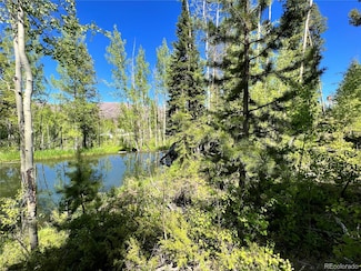 134 Mad Moose Ln, Grand Lake, CO 80447