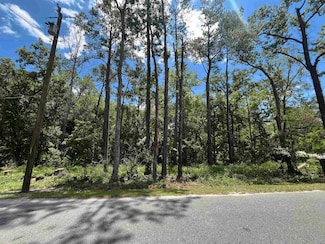 0 Franklin Dr Unit 378296, Crawfordville, FL 32327