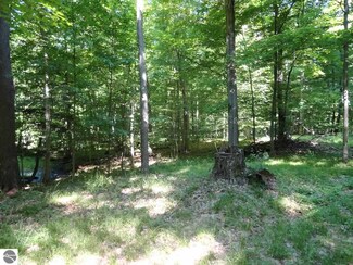 10000 W Walton, Blanchard, MI 49310