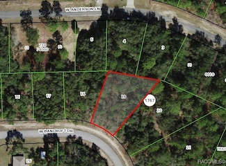 645 W Bancroft Dr, Pine Ridge, FL 34434