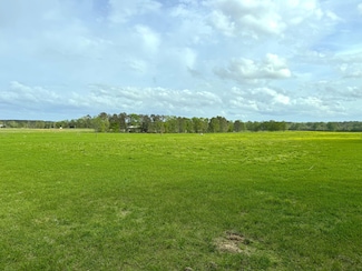 2509 Bogue Chitto Rd SE, Bogue Chitto, MS 39629