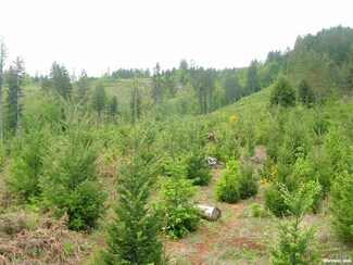840 Harrington Rd, Falls City, OR 97344