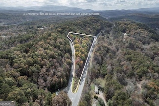 Lot 1 Walker M Sluder Farm Rd, Mineral Bluff, GA 30559