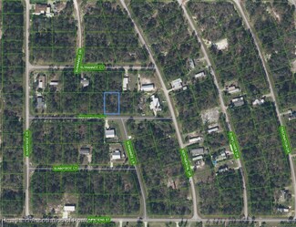 110 Sentimental Ct, Lake Placid, FL 33852
