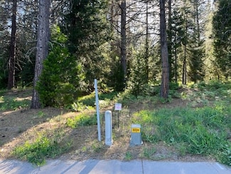 14 Lot Old Mill Dr, McCloud, CA 96057