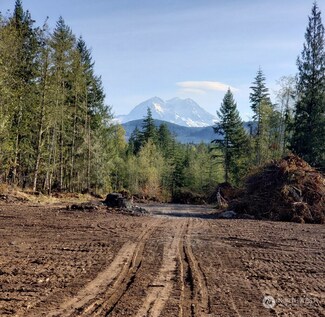 49208 Alder Cutoff Rd E, Eatonville, WA 98328