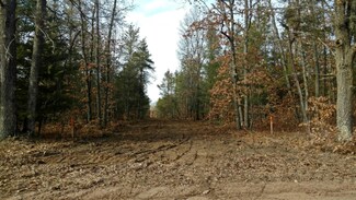 3 S Spruce Rd, Idlewild, MI 49642
