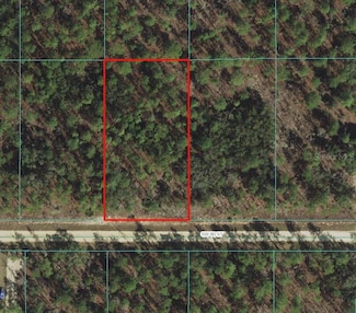 0 SW 80th St Unit MFROM670628, Dunnellon, FL 34432