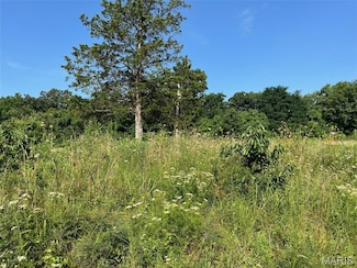 11870 E State Hwy E, Cadet, MO 63630