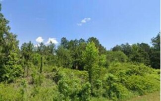 LOT 9 Tinker Creek Rd, Williston, SC 29853
