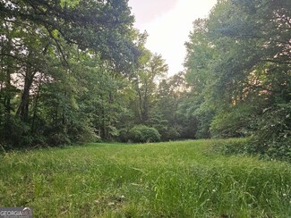 0 Huff Road Tract 1, Roopville, GA 30170