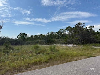 0 W State Highway 180 Unit Lots 14-15-16 385011, Gulf Shores, AL 36542