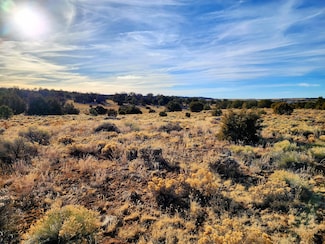 0 Edgewood Dr Unit 24106372, Ramah, NM 87321