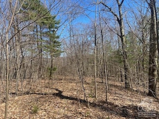 0 Amy's Ln Unit 152415, Austerlitz, NY 12017