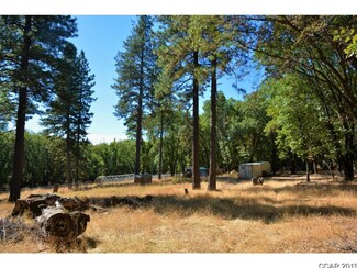 507 Stanley Rd, West Point, CA 95255