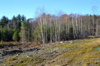 1263 E Madison Rd, Madison, NH 03849