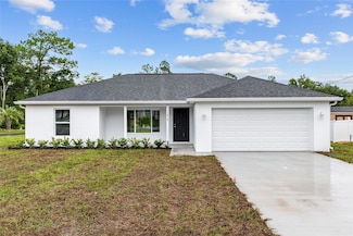 13019 NE 7th Loop, Silver Springs, FL 34488