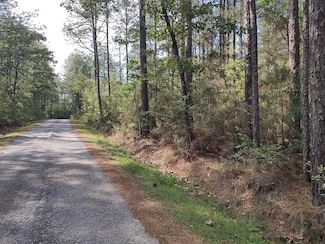 12 Magnolia Ln, Poplarville, MS 39470