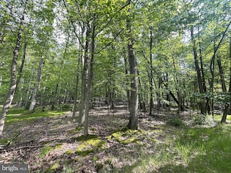 374 Davos Cir, North Union Township, PA 17985