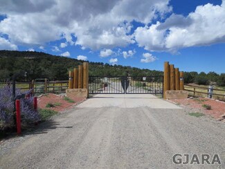 Lot 18 Red Creek Ranch Rd, Glade Park, CO 81523