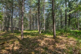 Off Holiday Dr E, Saint Germain, WI 54558