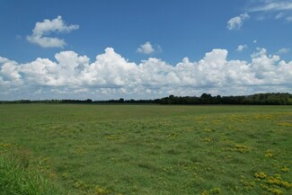 0 Wright Rd - Whole, Chapel Hill, TN 37034