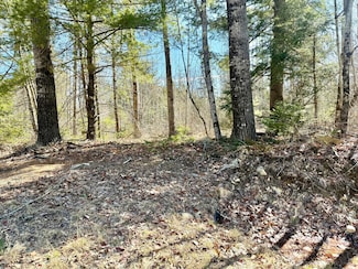 Lot 4 Valley East Sub South Main St, Morrill, ME 04952