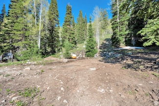 8041 Old Prospect Ave, Brighton, UT 84121