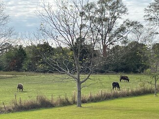 33 Dick Sumrall Rd, Laurel, MS 39443